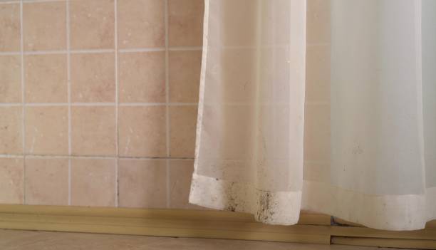 Dehumidification Services in Black Mountain, NC