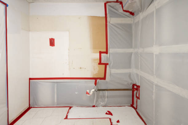 Best Crawl Space Mold Remediation  in Black Mountain, NC