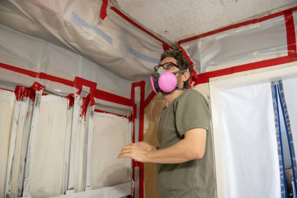 Best HVAC Mold Inspection and Cleaning  in Black Mountain, NC