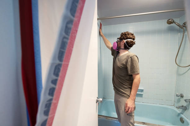 Best Black Mold Removal  in Black Mountain, NC